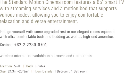 About Standard Motion Cinema Room