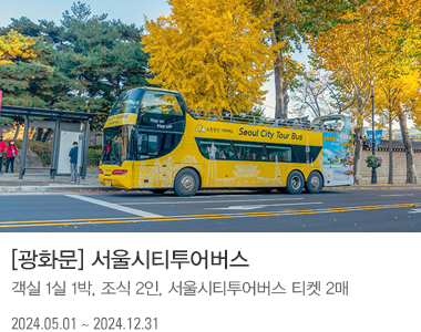 [광화문] 서울시티투어버스