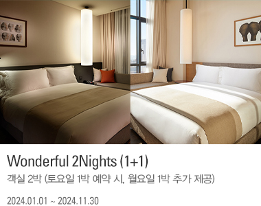 Wonderful 2Nights (1+1)