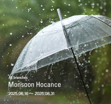Monsoon Hocance