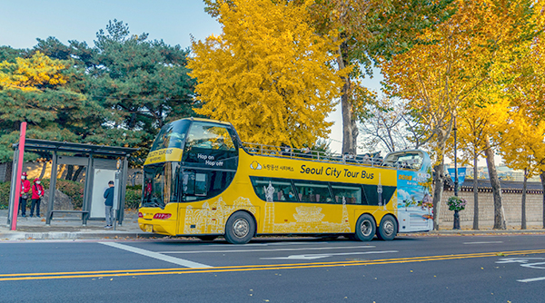 Seoul City Tour Bus (Room & Breakfast)