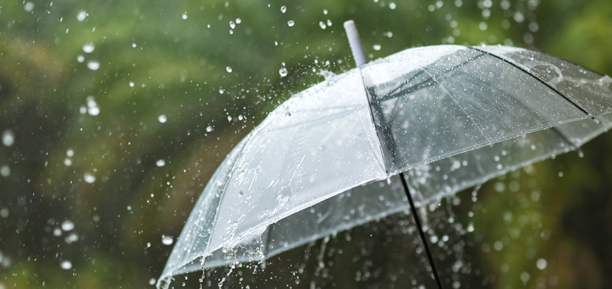 A time when even the sound of pouring rain becomes restful, enjoy a comfortable staycation at Shilla Stay.