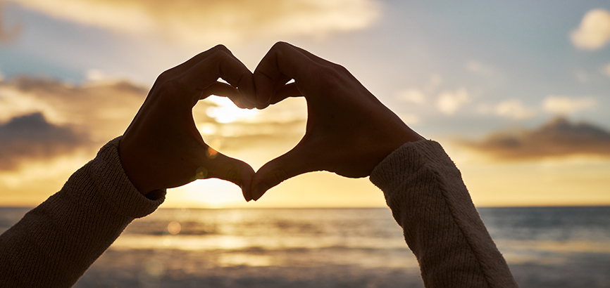 Wish Your Bucket 2026	